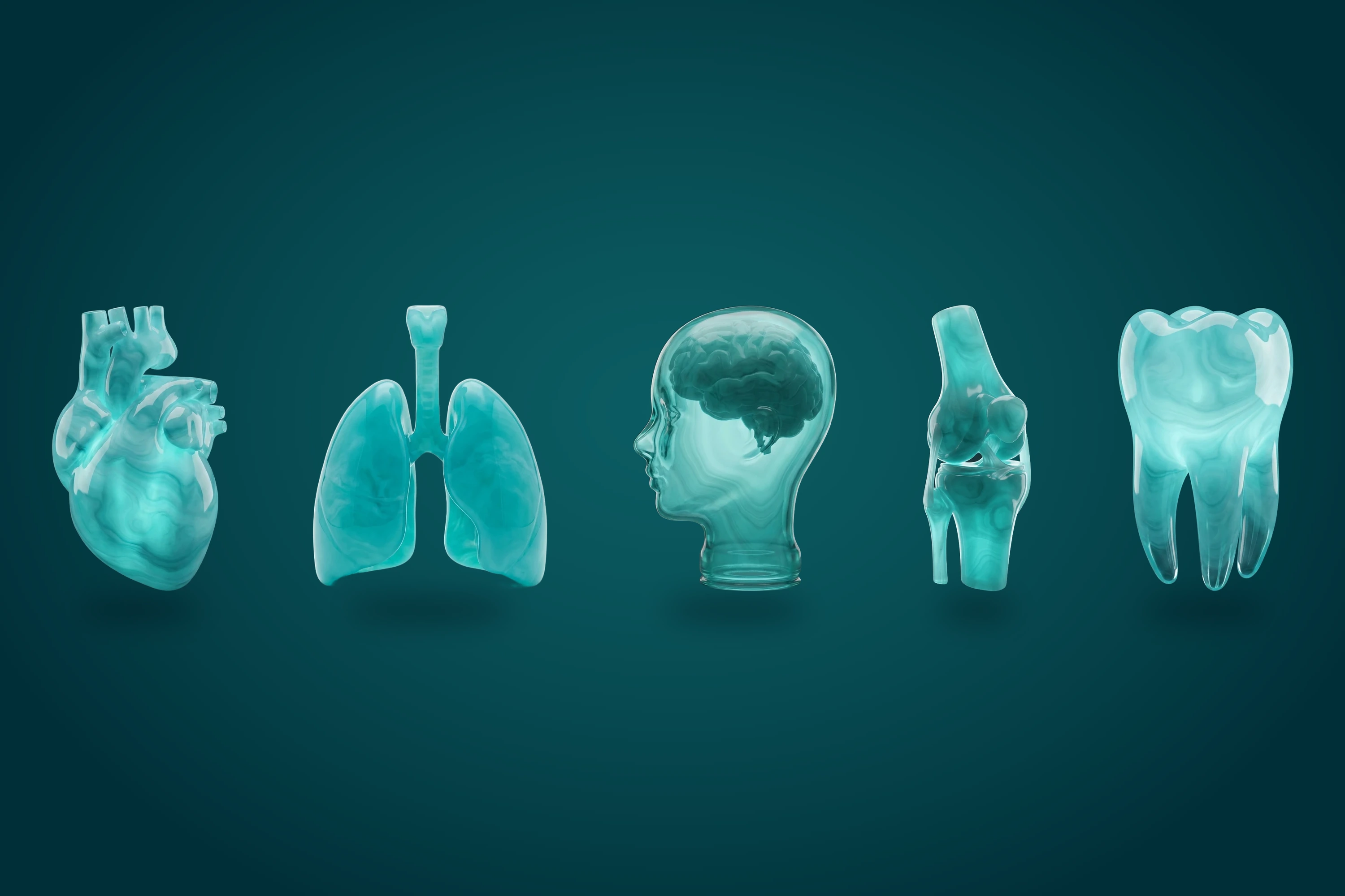 Almada Care glass organs on teal: heart, lungs, head, knee and tooth, one per specialty